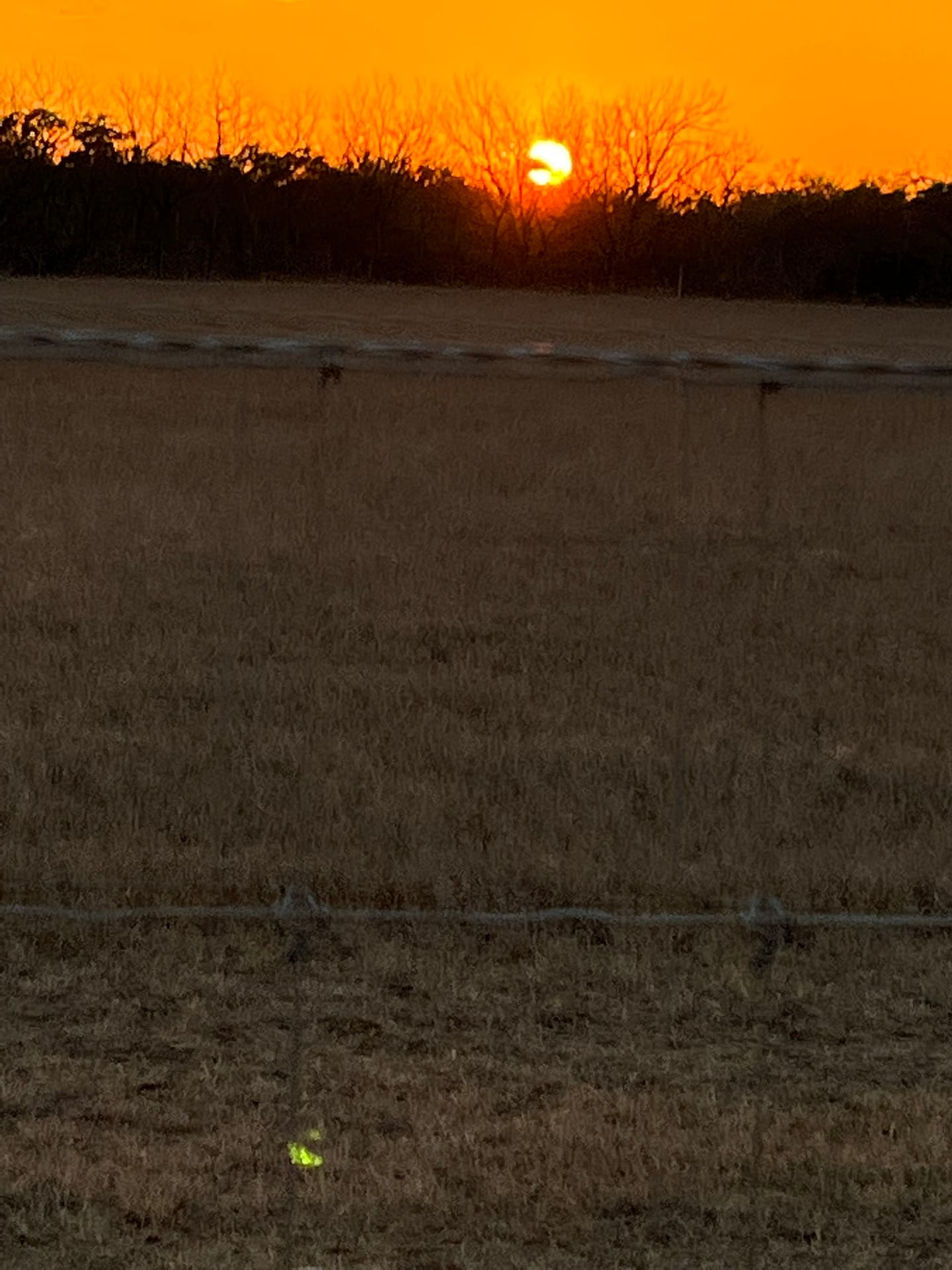 firey orb in the sky